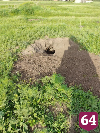 В Саратовской области посчитали сурков 