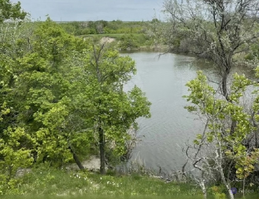 В Саратове продают пруд с рыбой и лебедями